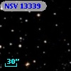 NSV 13339