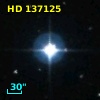 HD 137125