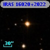 IRAS 16020+2022