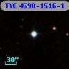 TYC 4590-1516-1
