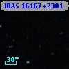IRAS 16167+2301