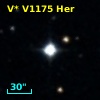 TYC 1518-913-1