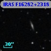 IRAS F16282+2318