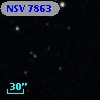 NSV  7863