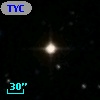 TYC 1531-1251-1