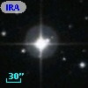 IRAS 16310+2313