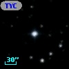 TYC 1531-1316-1