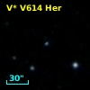 V* V614 Her