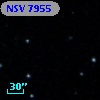 NSV  7955