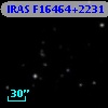 IRAS F16464+2231