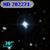 HD 202271