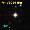 V* V1014 Her