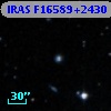 IRAS F16589+2430