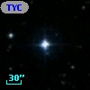 TYC 2059-81-1