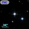 TYC 2064-1136-1