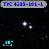TYC 4599-181-1