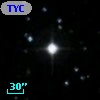 TYC 2061-1174-1