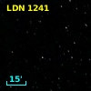 LDN 1241