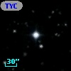 TYC 2075-1029-1