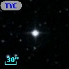 TYC 2081-1361-1