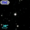 TYC 2081-1428-1