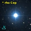 * rho Cep