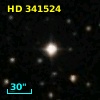HD 341524