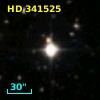 HD 341525