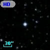 HD 341987