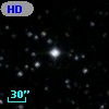 HD 342005