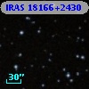 IRAS 18166+2430