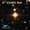 V* V1001 Her