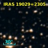 IRAS 19029+2305
