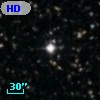 HD 344007