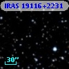 IRAS 19116+2231