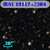 IRAS 19117+2304