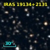 IRAS 19134+2131