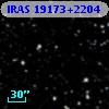 IRAS 19173+2204