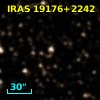 IRAS 19176+2242
