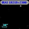 IRAS 19219+2300