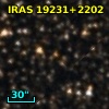 IRAS 19231+2202
