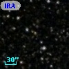 IRAS 19246+2117