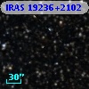 IRAS 19236+2102