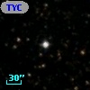 TYC 2125-1338-1