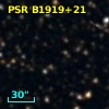 PSR B1919+21