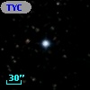 TYC 1613-497-1