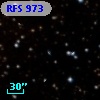 RFS  973
