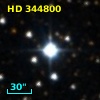 HD 344800