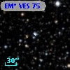 EM* VES   75