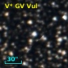 V* GV Vul
